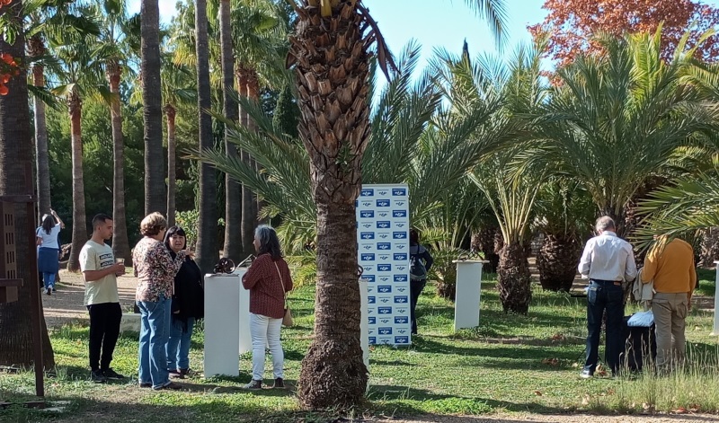 jorge castro alfas pi diciembre 2025 2