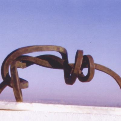 Jorge Castro Florez Lazos Braza