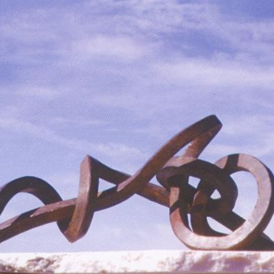 Jorge Castro Florez Lazos De Agua