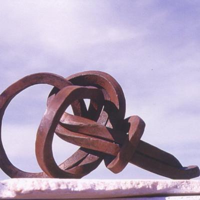 Jorge Castro Florez Lazos Rescate